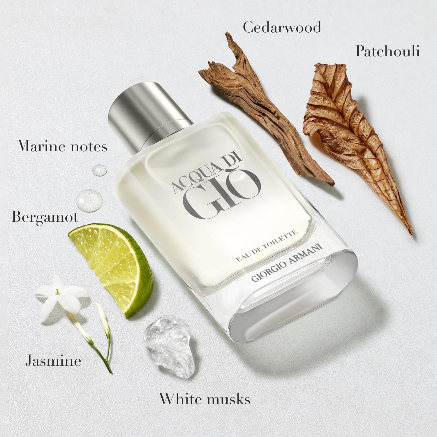 Giorgio Armani Acqua Di Giò Eau De Toilette 100ml