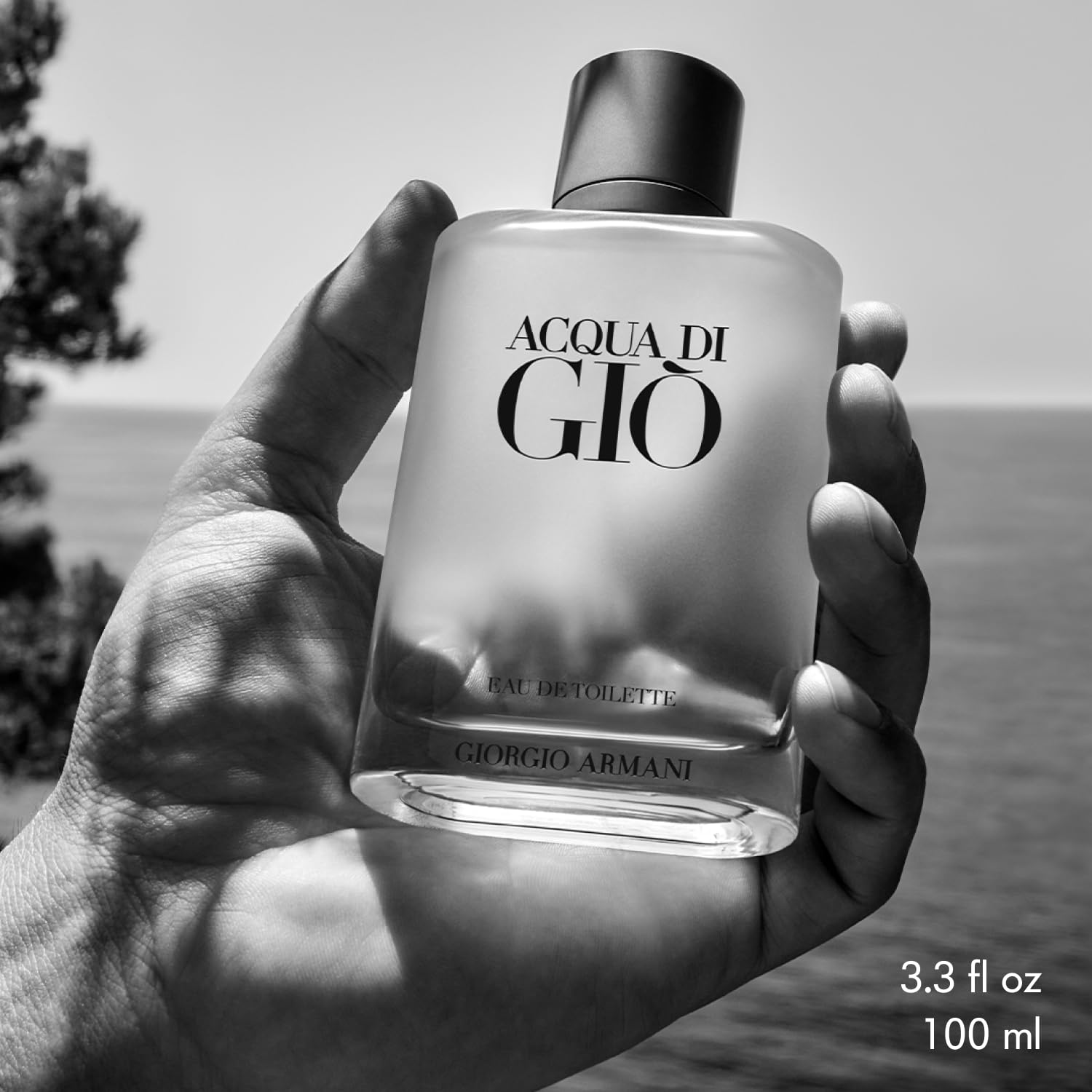 Giorgio Armani Acqua Di Giò Eau De Toilette 100ml