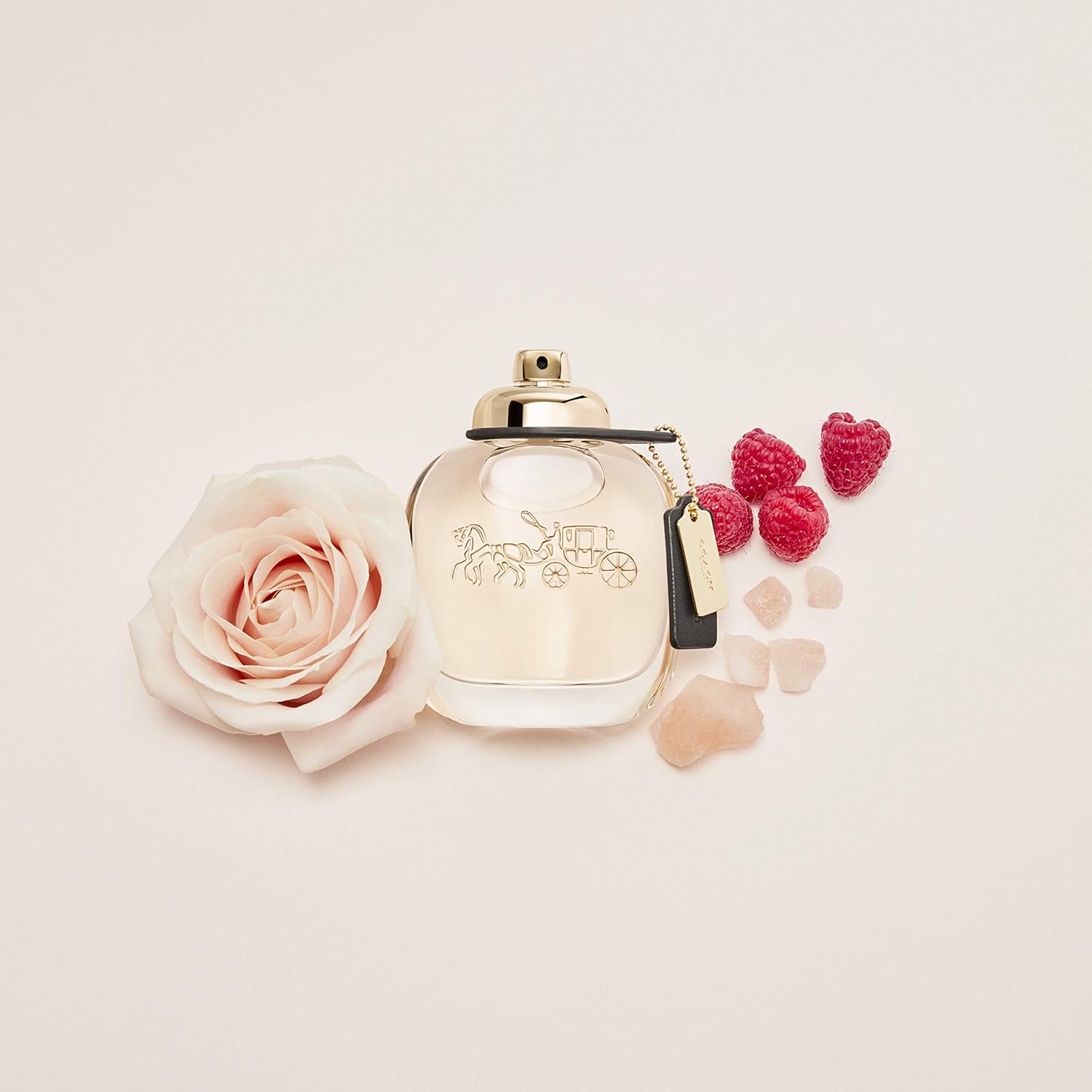 Coach New York Eau De Parfum - Women's Fragrance - Floral Fruity - With notes of Raspberry Leaves, Turkish Rose & Suede Musks - 90ml/3oz