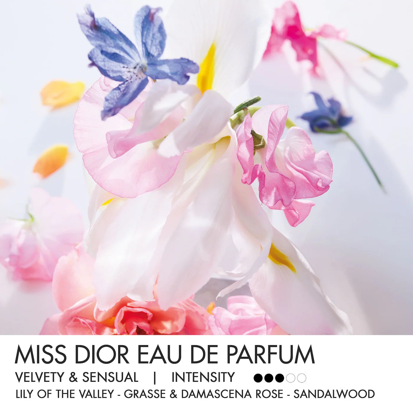 Miss Dior Eau De Parfum 100ml