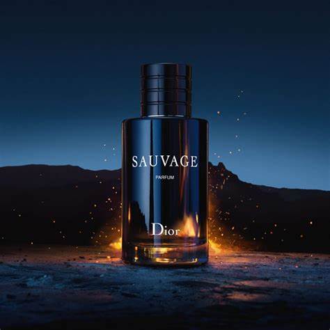 Christian Dior Sauvage Parfum Spray For Men 100ml – FragranceSpark