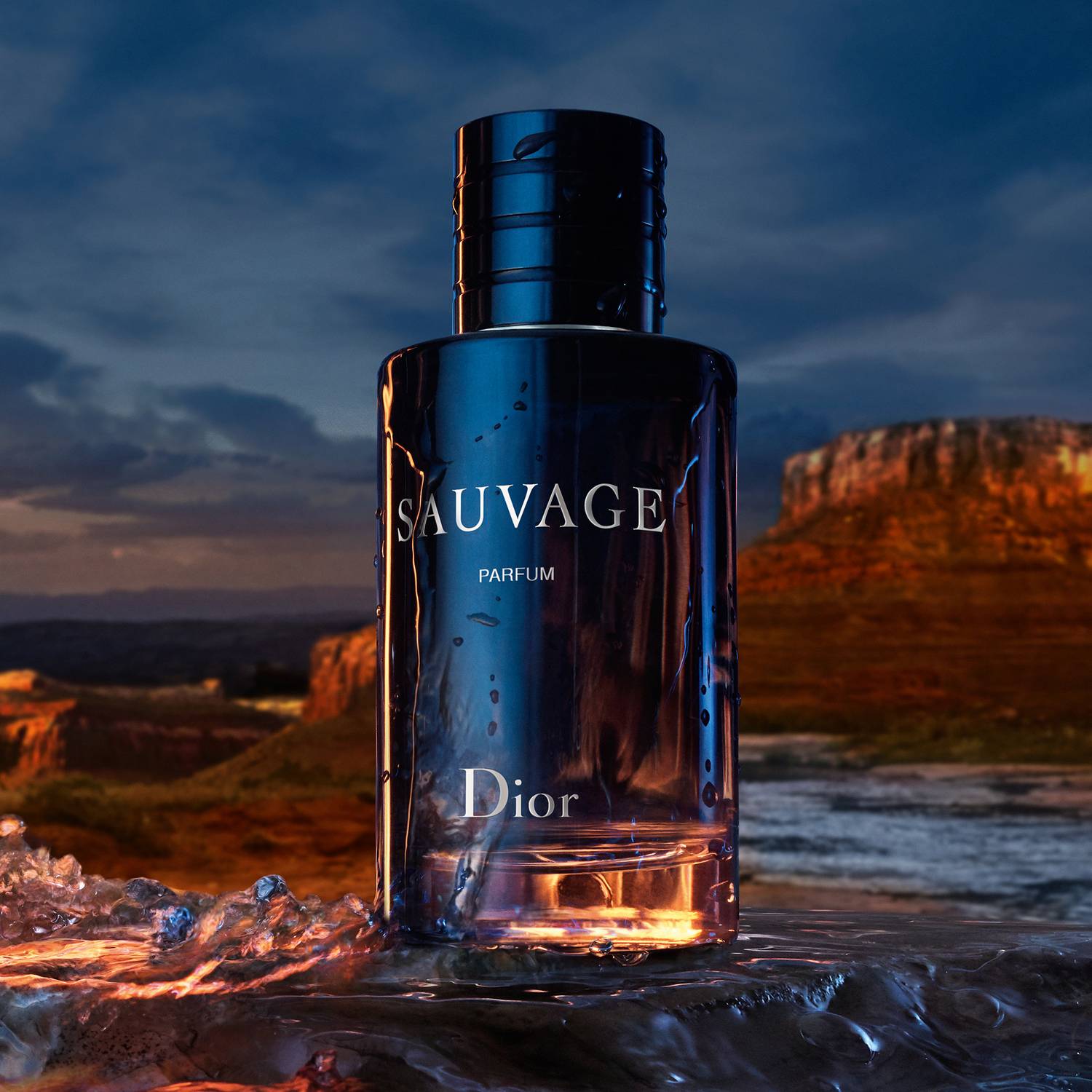 Christian Dior Sauvage Parfum Spray For Men 100ml
