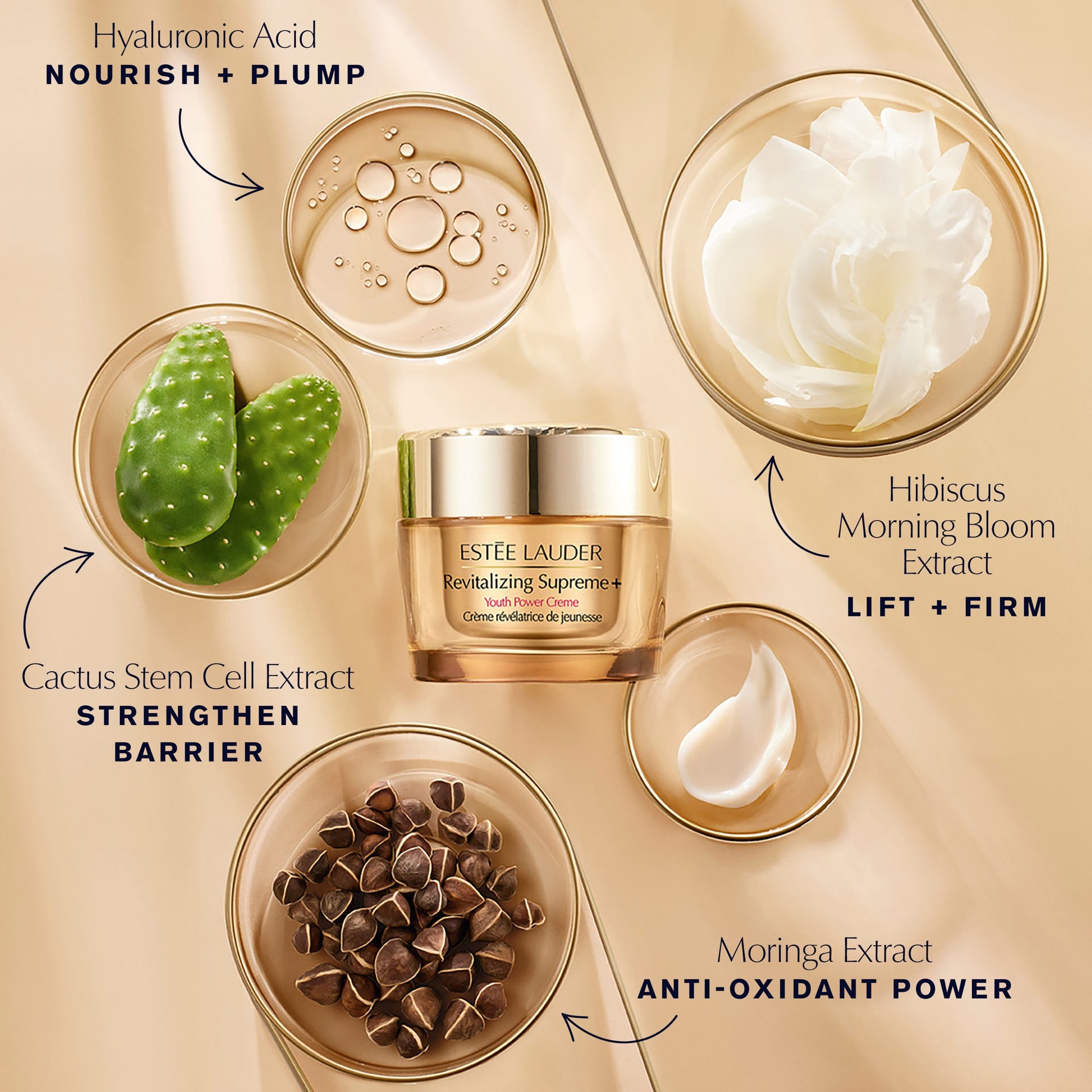 Estee Lauder Revitalizing Supreme+ Youth Power Crema 75ml