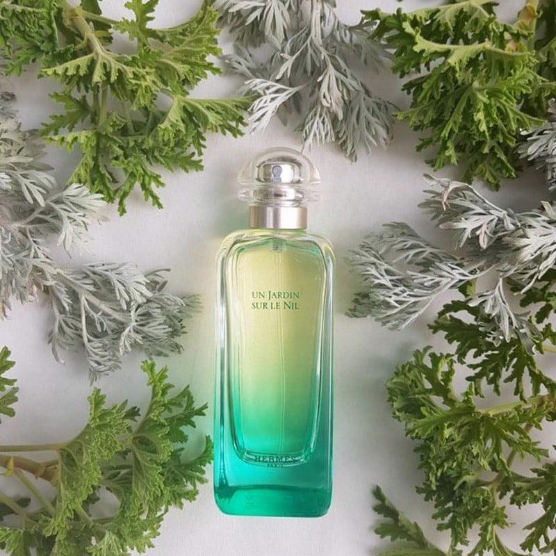 Terre D'Hermes Un Jardin Sur Le Nil Eau De Toilette Spray 100ml