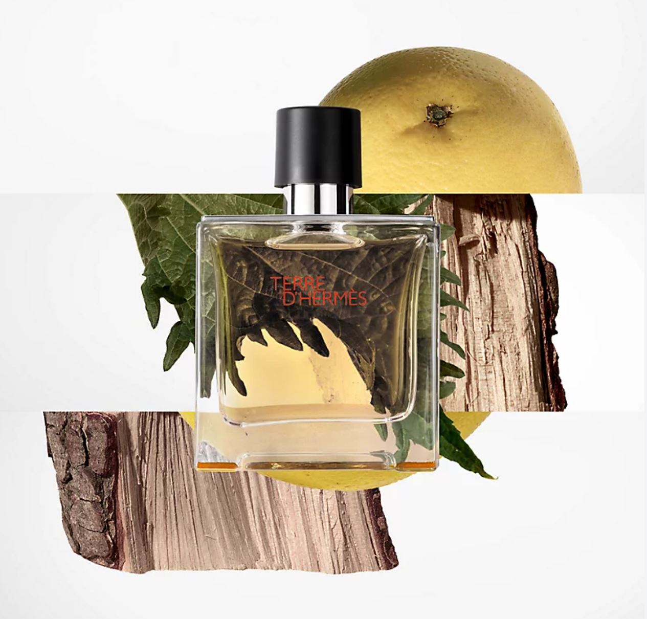 Terre D'Hermes Eau De Toilette Spray For Men