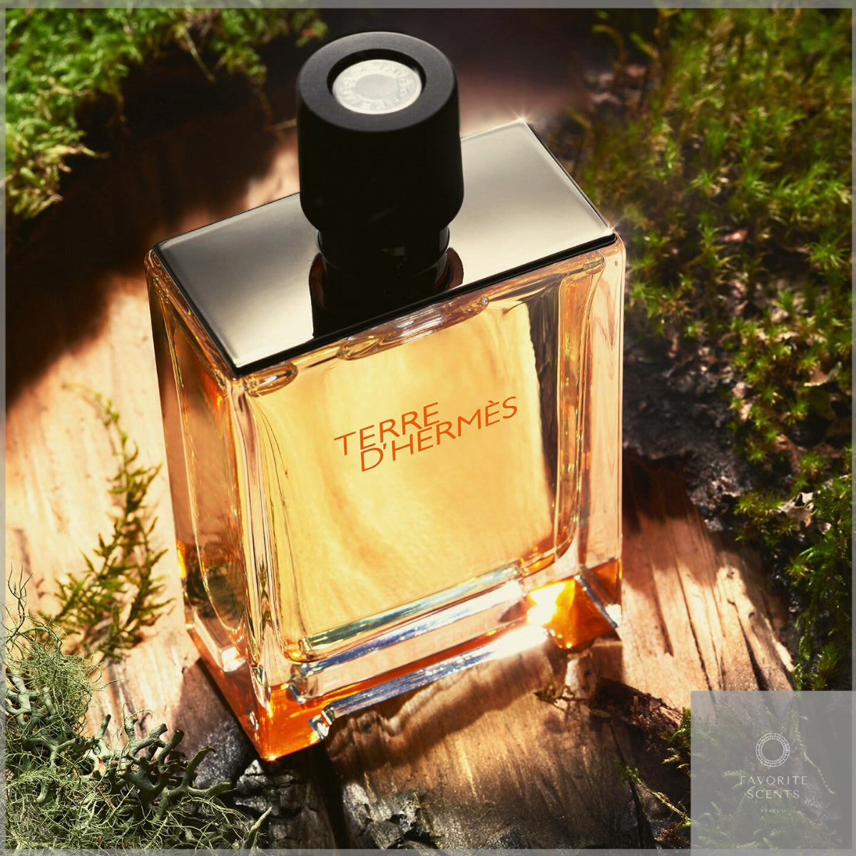 Terre D'Hermes Eau De Toilette Spray For Men