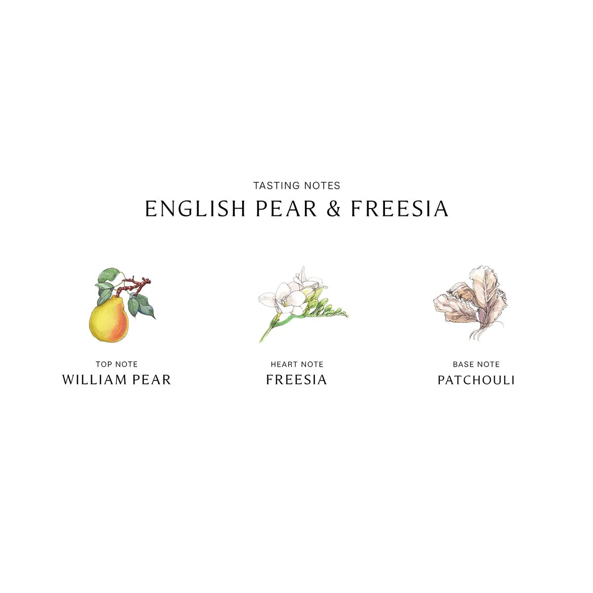 Jo Malone English Pear & Freesia para Mujeres Eau De Cologne Vaporizador 100ml/3.4 Onzas, blanco
